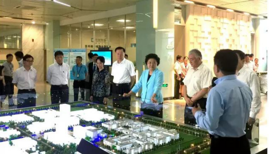 中共中央政治局委员、国务院副总理刘延东一行考察苏州纳米城企业-1 78bcf61c9577e76ab5e1f47cd5568063.png